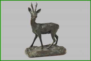 Vintage Poland Bronze Sculpture Roe / Deer Hallmarked Patina (2232)