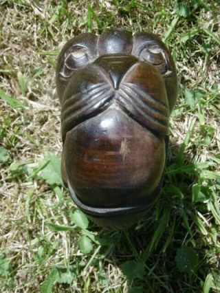 19thc GOTHIC OAK CARVED GARGOYLE WITH BALL IN MOUTH (2) 12