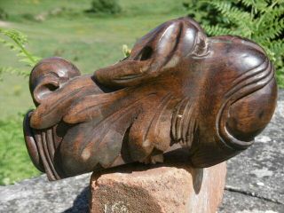 19thc GOTHIC OAK CARVED GARGOYLE WITH BALL IN MOUTH (2) 6