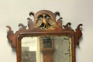 RARE 18TH C QUEEN ANNE MIRROR WITH CARVED GILDED PHOENIX THE BEST CARVED CRESTS 3