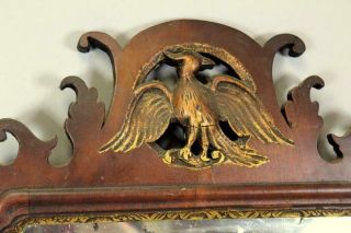 RARE 18TH C QUEEN ANNE MIRROR WITH CARVED GILDED PHOENIX THE BEST CARVED CRESTS 4