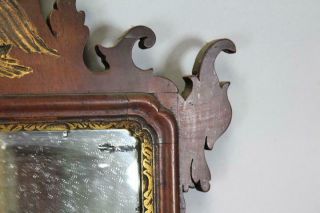 RARE 18TH C QUEEN ANNE MIRROR WITH CARVED GILDED PHOENIX THE BEST CARVED CRESTS 6