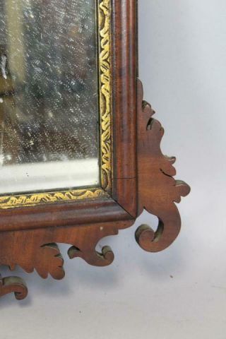 RARE 18TH C QUEEN ANNE MIRROR WITH CARVED GILDED PHOENIX THE BEST CARVED CRESTS 7