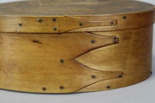 A GREAT 19TH C ENFIELD CT SHAKER THREE FINGER OVAL BOX VARNISH SURFACE 3