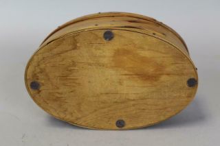 A GREAT 19TH C ENFIELD CT SHAKER THREE FINGER OVAL BOX VARNISH SURFACE 8