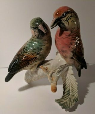 Vintage Germany Karl Ens Ceramic Bird Figurine Parrot Crossbill Pair