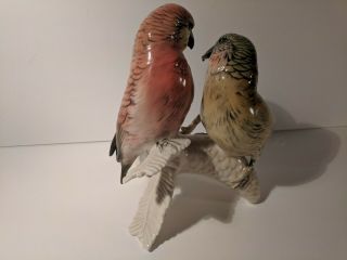 Vintage Germany Karl Ens Ceramic Bird Figurine Parrot Crossbill Pair 5