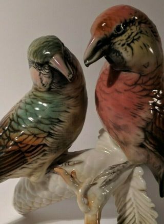 Vintage Germany Karl Ens Ceramic Bird Figurine Parrot Crossbill Pair 6
