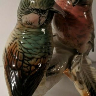 Vintage Germany Karl Ens Ceramic Bird Figurine Parrot Crossbill Pair 7