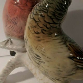 Vintage Germany Karl Ens Ceramic Bird Figurine Parrot Crossbill Pair 8