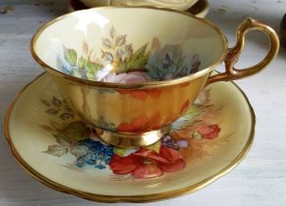 Aynsley Gold Huge Roses Bailey Tea Cup & Saucer 2