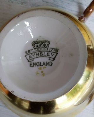 Aynsley Gold Huge Roses Bailey Tea Cup & Saucer 6