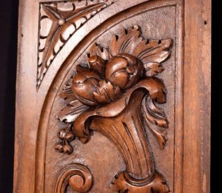 Antique French Highly Carved Panels in Walnut Wood Salvage w/Flowers 7
