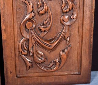 Antique French Highly Carved Panels in Walnut Wood Salvage w/Flowers 9