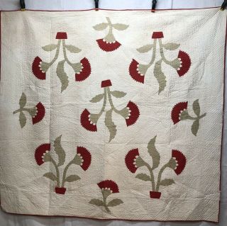 Olive Branch In Pot Quilt Circa 1900 12