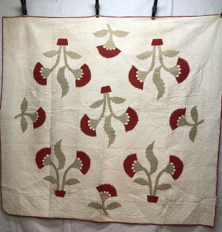 Olive Branch In Pot Quilt Circa 1900