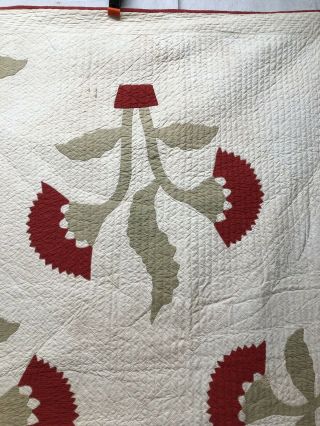 Olive Branch In Pot Quilt Circa 1900 2