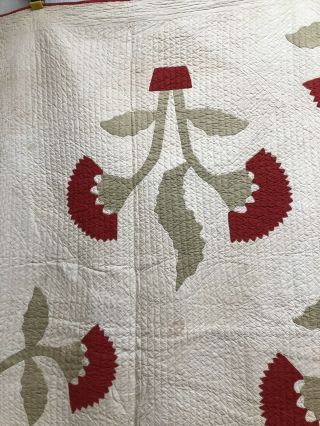 Olive Branch In Pot Quilt Circa 1900 3