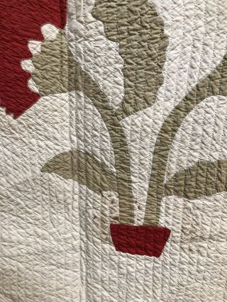 Olive Branch In Pot Quilt Circa 1900 4