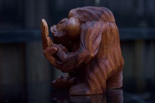 Monkey Middle Finger Up Handcrafted Antique Vintage Limited Carving