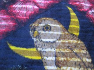 RARE OWL 5/A Essex Square Baker CARRIAGE BUGGY LAP BLANKET 6