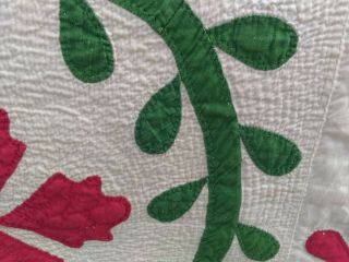 Antique Pre Civil War Green & Red Floral Applique Quilt 4