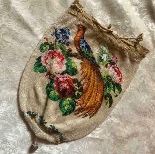 Large Exquisite 19th Century Micro Beaded Beadwork Bag Reticule Birds Roses 298