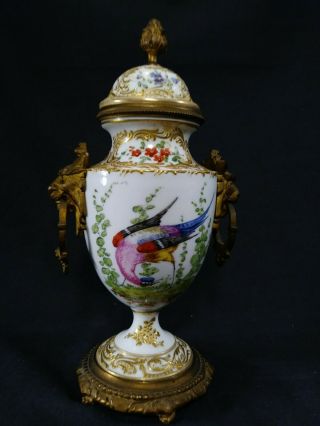 Antique French Sevres Bronze Mounted Porcelain Lidded Urn Vase Birds Of Paradise 3