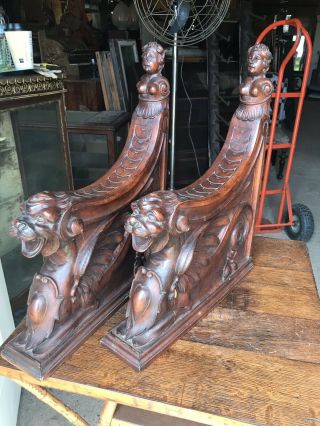 Well Carved Winged Griffin Mahogany Architectural Fragments Victorian