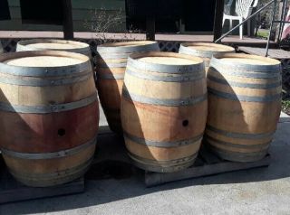 Napa Valley Wine Barrels (Eastern 1/2 of US only) 4