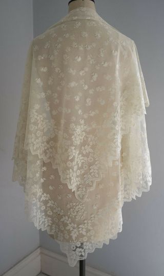 Antique Embroidered Net Lace Veil / Shawl