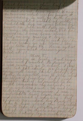 Diary Young Woman University of Illinois Handwritten 1883 5