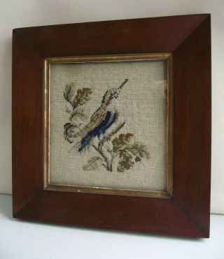 Woolwork Tapestry Of A Bird In Antique Heavy Wooden Frame 12 " X 12.  5 "