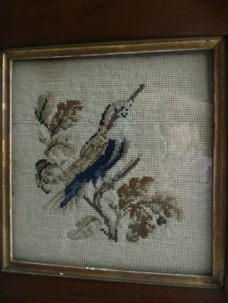 WOOLWORK TAPESTRY OF A BIRD IN ANTIQUE HEAVY WOODEN FRAME 12 