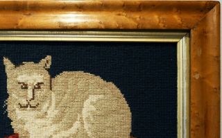 LATE 19TH CENTURY NEEDLEPOINT PICTURE OF A CAT ON A TASSELED CUSHION c.  1870 11