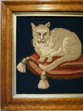LATE 19TH CENTURY NEEDLEPOINT PICTURE OF A CAT ON A TASSELED CUSHION c.  1870 2