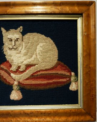 LATE 19TH CENTURY NEEDLEPOINT PICTURE OF A CAT ON A TASSELED CUSHION c.  1870 3
