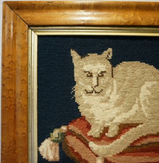 LATE 19TH CENTURY NEEDLEPOINT PICTURE OF A CAT ON A TASSELED CUSHION c.  1870 6