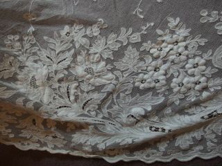 antique Tambour lace curtain Edwardian Art Nouveau 4