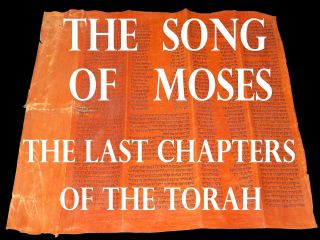Torah Scroll Bible Vellum Manuscript Fragment/leaf 250yrs Yemen Deut 31:10 - 34:12
