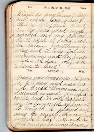 1903 Handwritten Diary Edna Kenyon Detroit MI Summer Trip to Salem NY 17yr Old 7