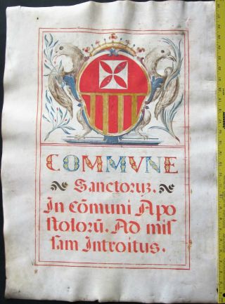 Huge Medieval Liturgical Manuscript,  Lf,  Vellum,  Hndpt.  Deco Design,  Ca.  1500 100