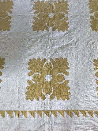Vintage Expertly Hand Quilted Thin Wreath Gold APPLIQUÉ Quilt 76”X80” Farmhouse 3