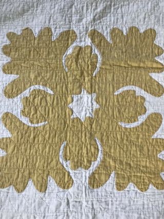 Vintage Expertly Hand Quilted Thin Wreath Gold APPLIQUÉ Quilt 76”X80” Farmhouse 4