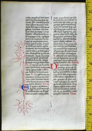 Medieval ca.  1450 manuscript leaf from a Breviary,  deco.  handpt.  initials Red&Blue 2