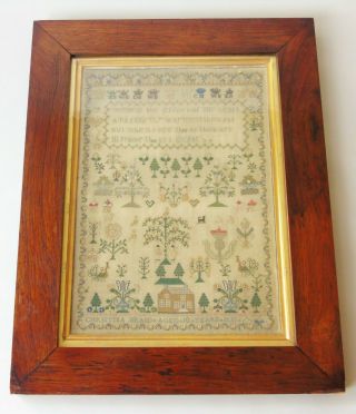 Fine Early 19th Century Adam & Eve Sampler Christina Braid 2