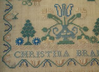 Fine Early 19th Century Adam & Eve Sampler Christina Braid 5