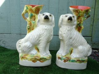 Pair: 19thc Staffordshire Spaniel Dogs With Large Spill Vases C1880