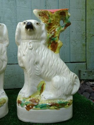 PAIR: 19thC STAFFORDSHIRE SPANIEL DOGS WITH LARGE SPILL VASES c1880 3