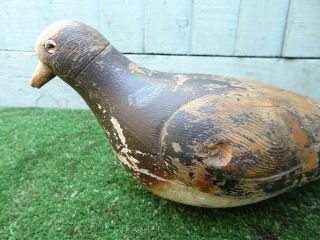 19thC WOODEN DECOY PIGEON BIRD,  HAND PAINTING,  GLASS EYE,  c1890s 2